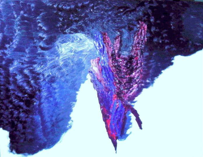 humanheartinprogressweb