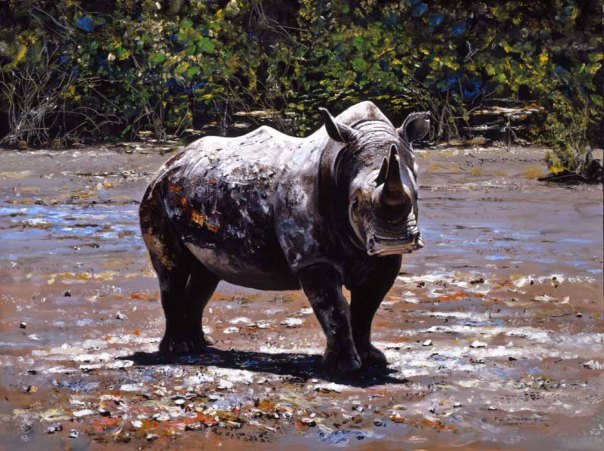 "White Rhino, Lake Nakuru" by Pip McGarry, Oil on canvas, 20in x 18in, Sold at Sotheby's February 1999.