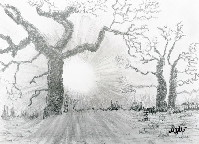 Three Trees in First Field