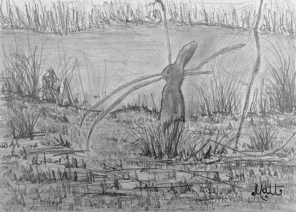 the Rabbits of Ridge Willow – sketch one” [28th April 2021] by Matt The Unfathomable Artist, 3H HB 3B pencils, signed in black ink on A4 250gsm Artist's paper
