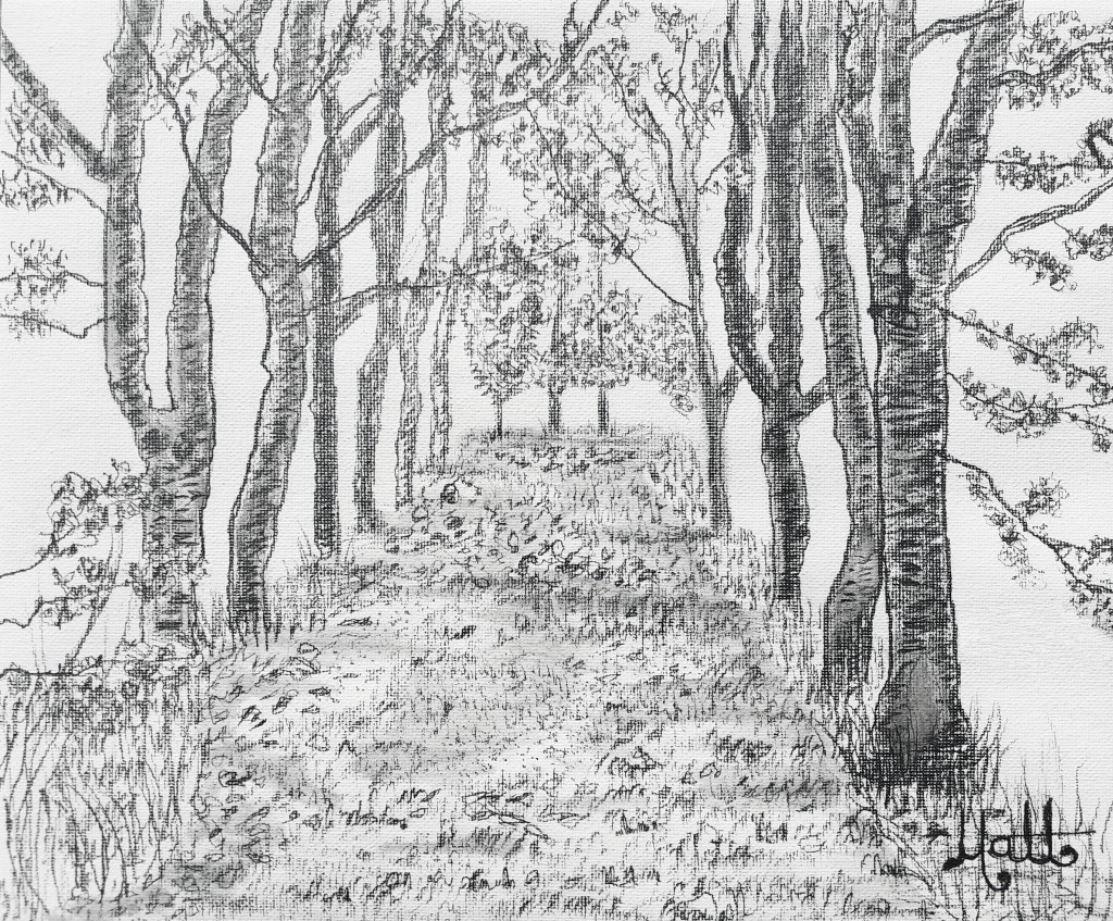 Second Mount Foremost Pathway 9th October 2021 by Matt The Unfathomable Artist