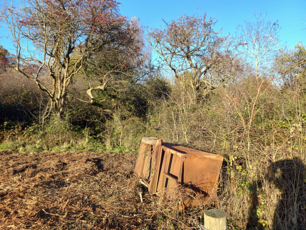 Corner, North-East of Wildflower Meadow at the rusted cart on 25th November 2025