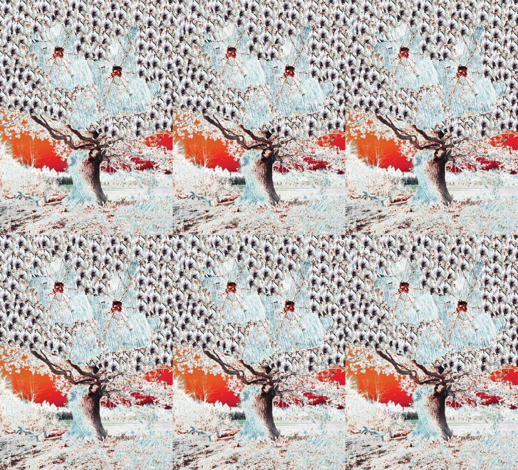 “Oak Eyes [3x2 Collage]” [28th November 2025] by Matt The Unfathomable Artist, digital artwork